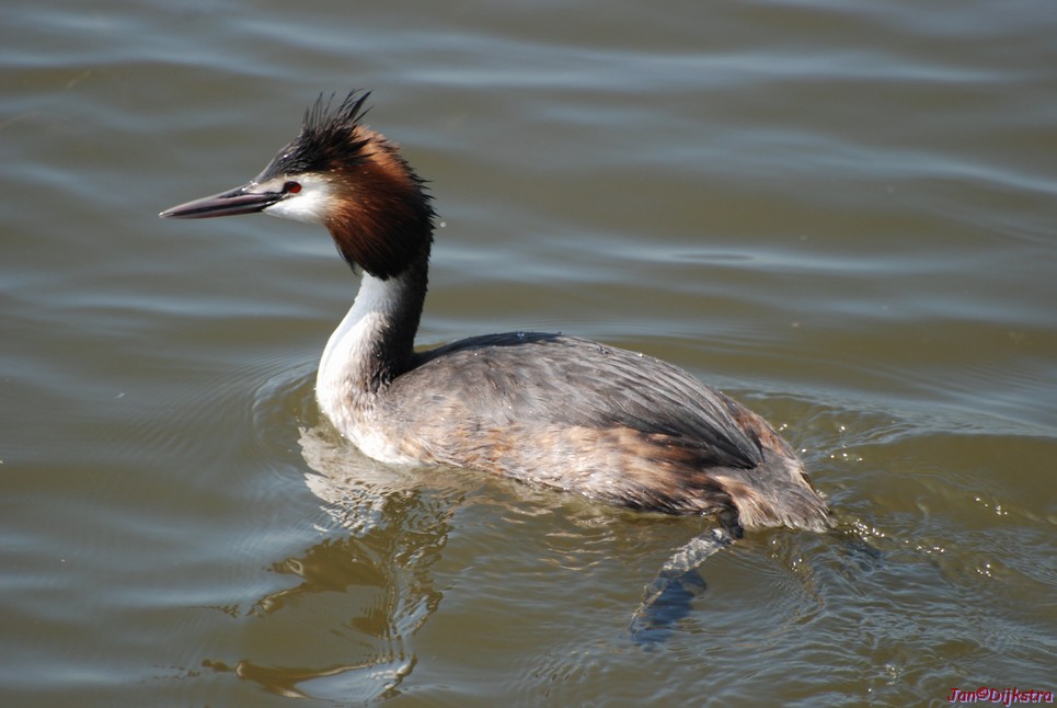 DSC_0009.JPG