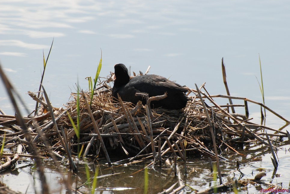 DSC_0023.JPG