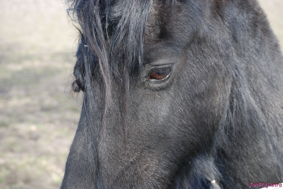 DSC_0030.JPG