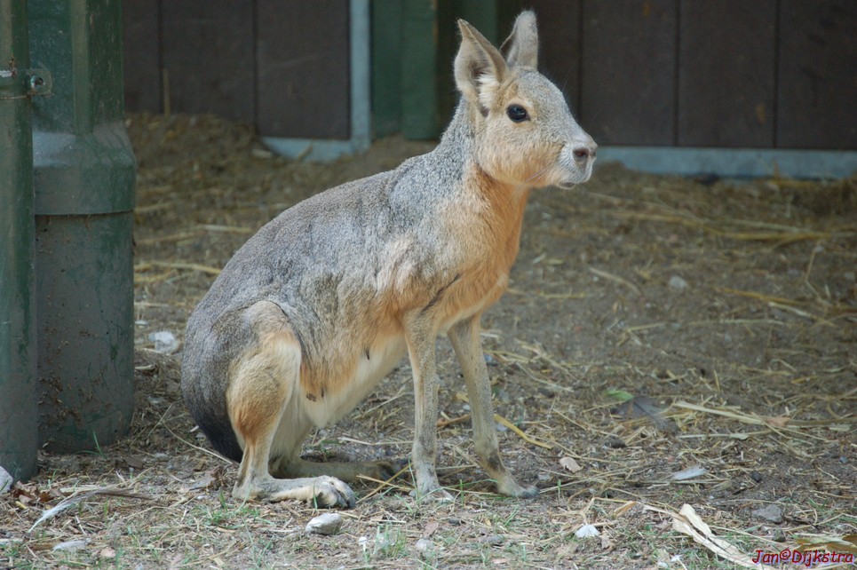 DSC_0020.JPG