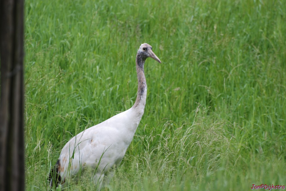 DSC_0640.JPG