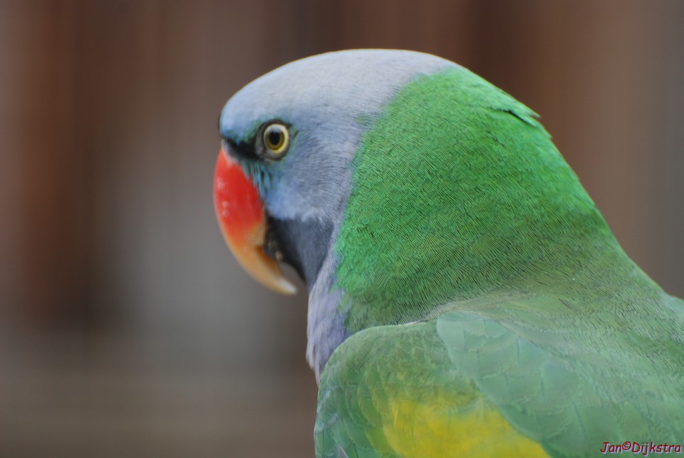 DSC_0650.JPG