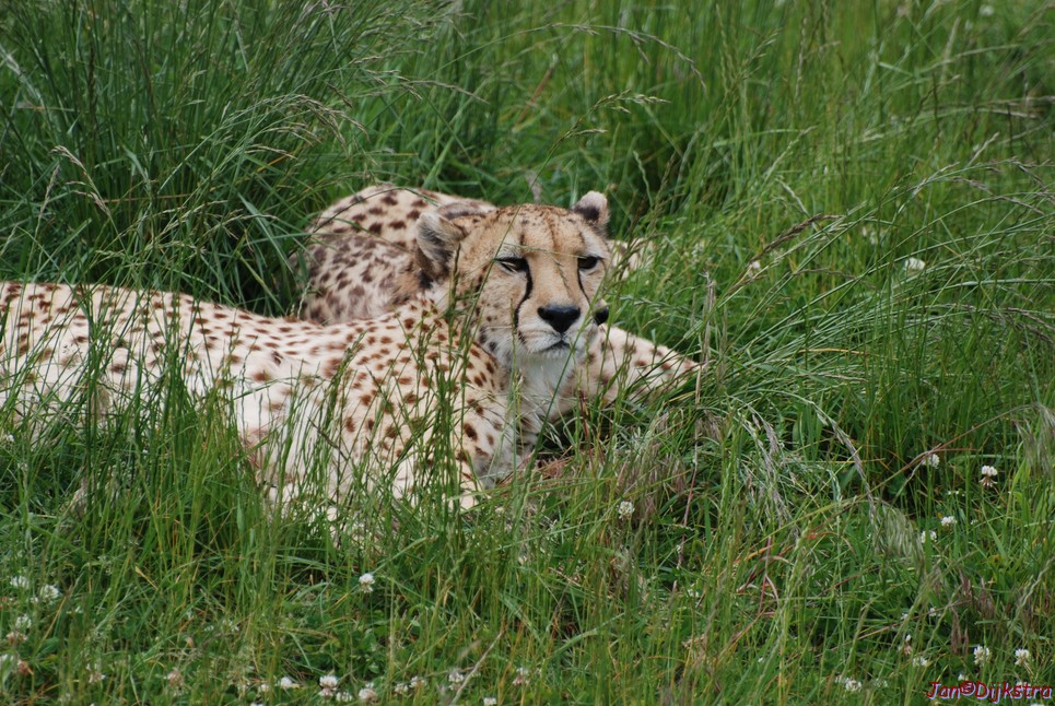 DSC_0669.JPG