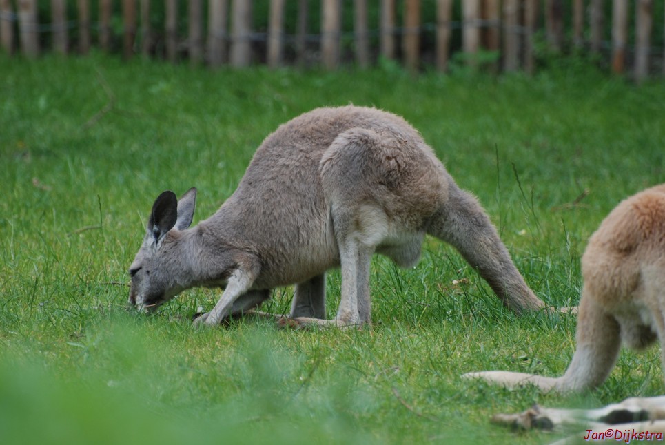 DSC_0783.JPG