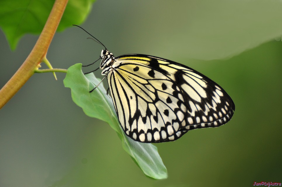 DSC_1269.jpg