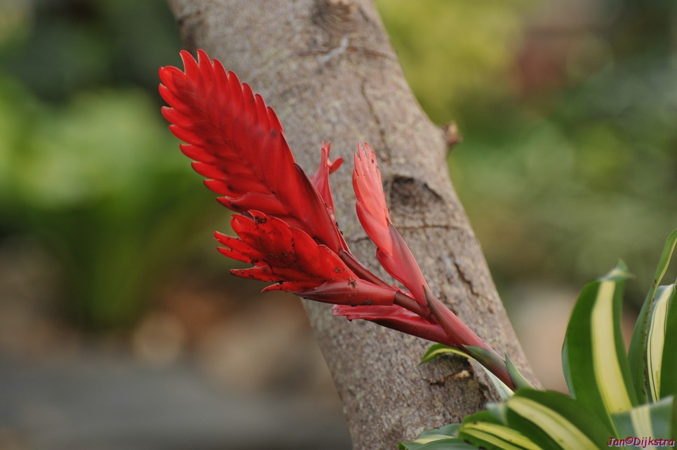 DSC_1379.JPG