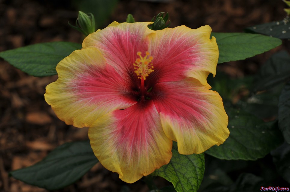 DSC_1389.JPG