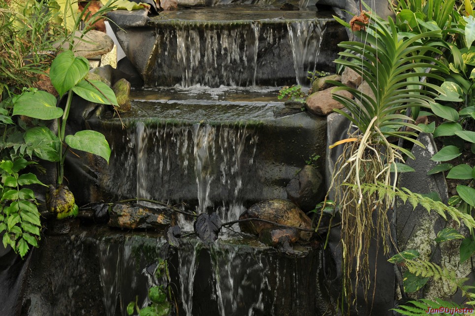 DSC_1406.JPG