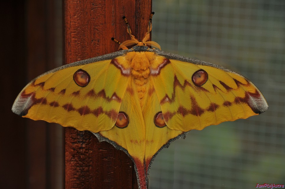 DSC_1423.JPG
