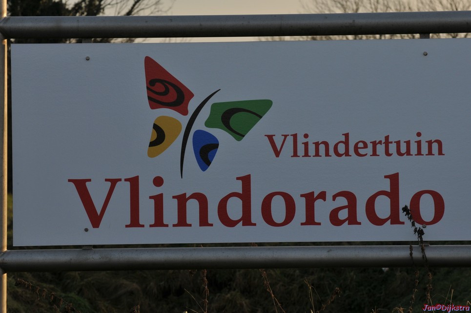 DSC_1504.JPG