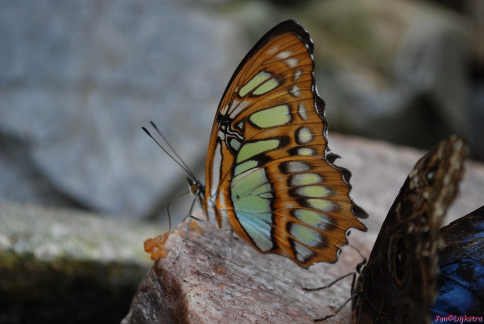 dsc_0165.jpg