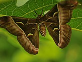 DSC_1176.JPG