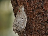 DSC_1364.JPG