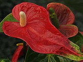 DSC_1404.JPG