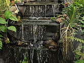 DSC_1406.JPG