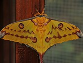 DSC_1423.JPG