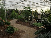 DSC_1430.JPG