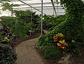 DSC_1434.JPG