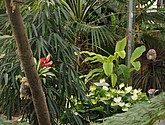 DSC_1440.JPG