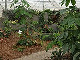 DSC_1441.JPG