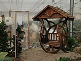 DSC_1442.JPG