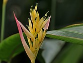DSC_1483.JPG