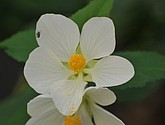 DSC_1503.JPG
