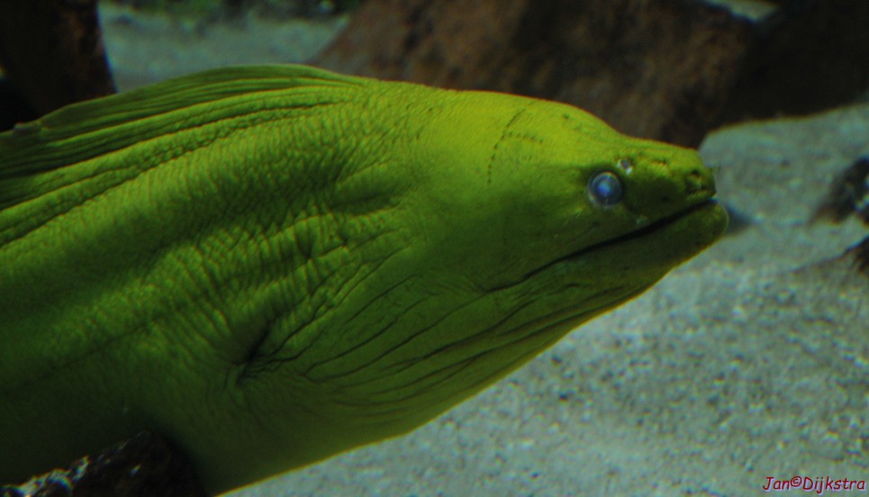 DSC_1634-1.jpg