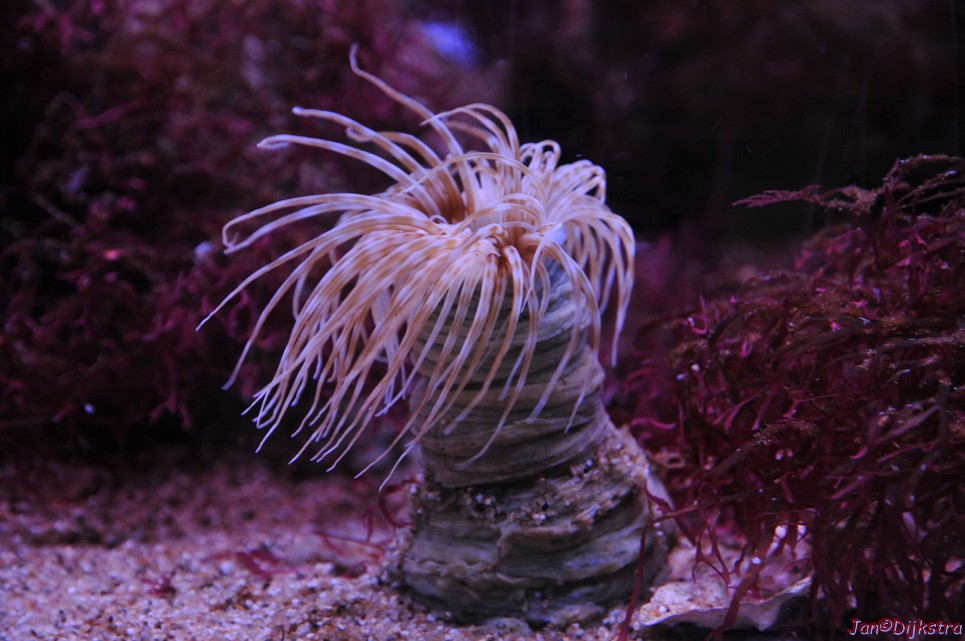 DSC_1745.JPG