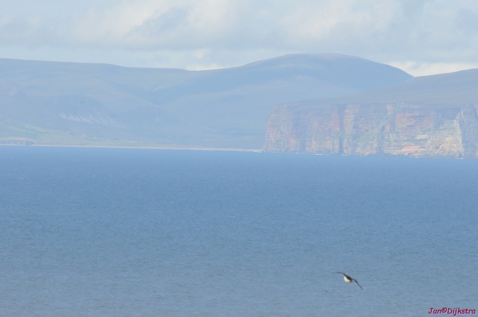 DSC_9648.JPG