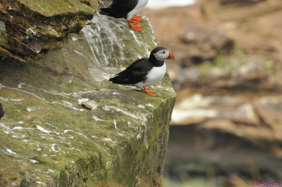DSC_9659.JPG
