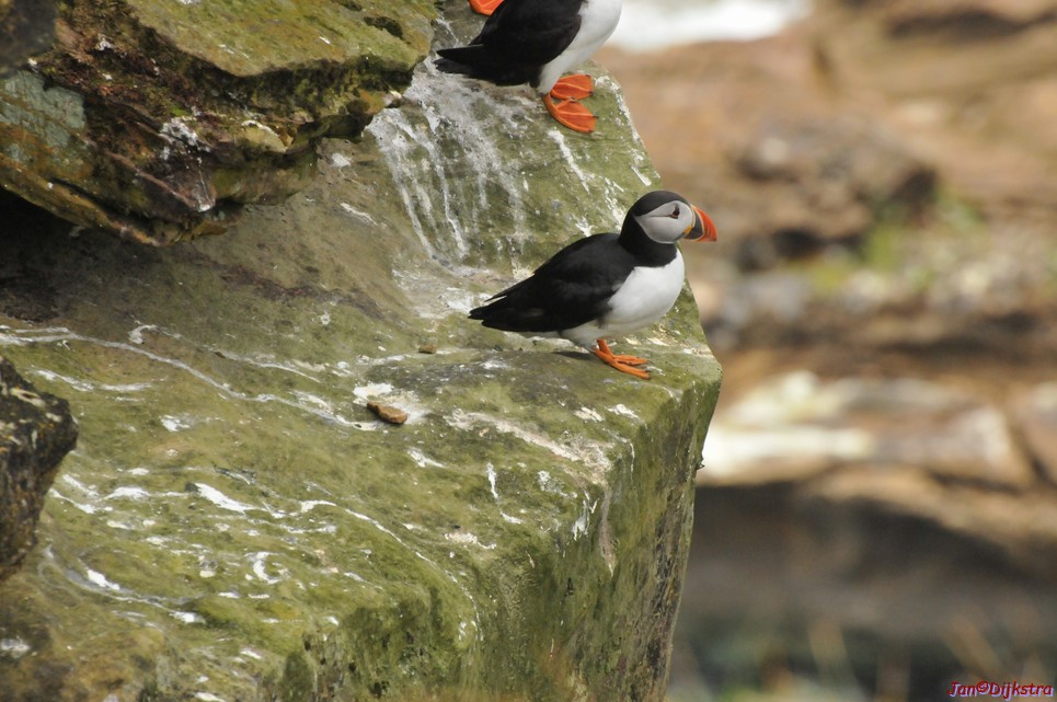 DSC_9660.JPG