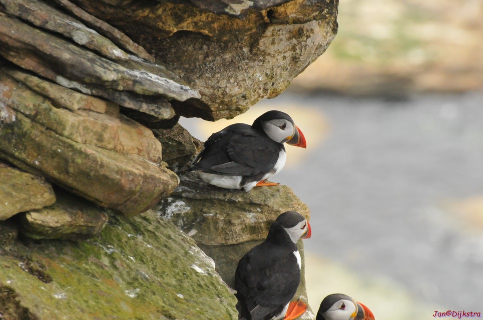 DSC_9681.JPG