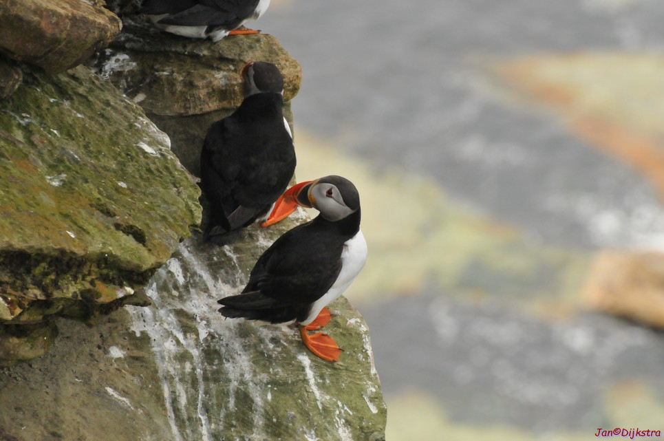 DSC_9682.JPG