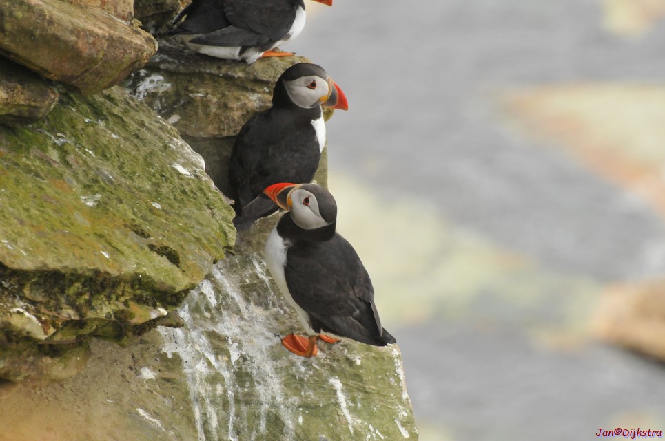 DSC_9692.JPG