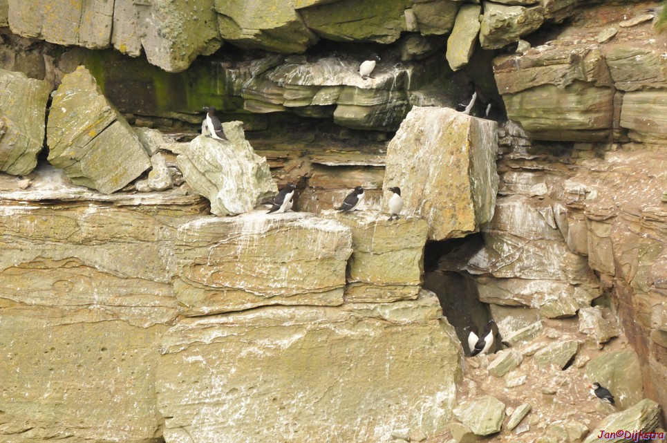 DSC_9698.JPG
