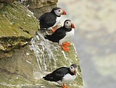 DSC_9665.JPG