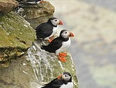 DSC_9666.JPG