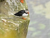 DSC_9670.JPG