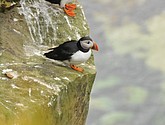 DSC_9671.JPG