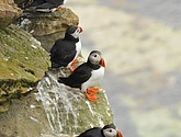 DSC_9674.JPG
