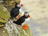 DSC_9675-1.JPG