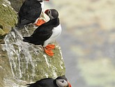 DSC_9676.JPG