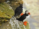 DSC_9680.JPG