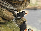 DSC_9681.JPG