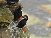 DSC_9682.JPG