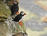 DSC_9684.JPG