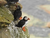 DSC_9686.JPG