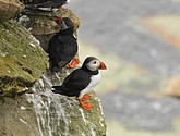 DSC_9687.JPG