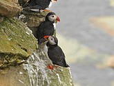 DSC_9692.JPG
